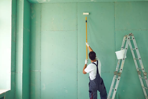 Best Ceiling Drywall Installation  in Le Claire, IA